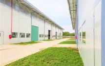 Giải pháp lấy gió và ánh sáng tự nhiên cho nhà xưởng